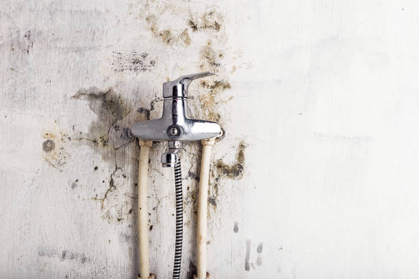 Best Mold Testing and Inspection Services in Fredericksburg, IA